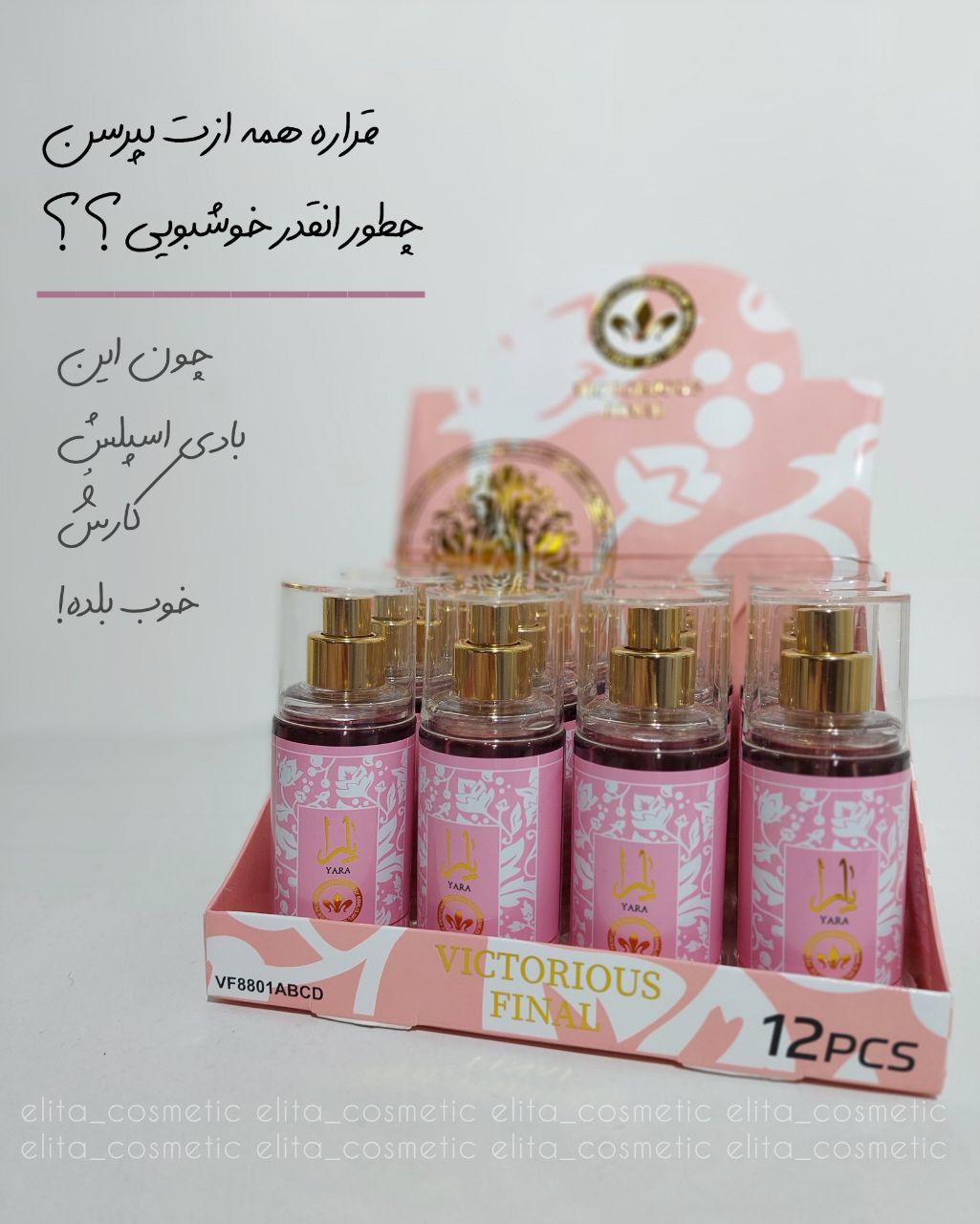 IMG_20251104_202419_664