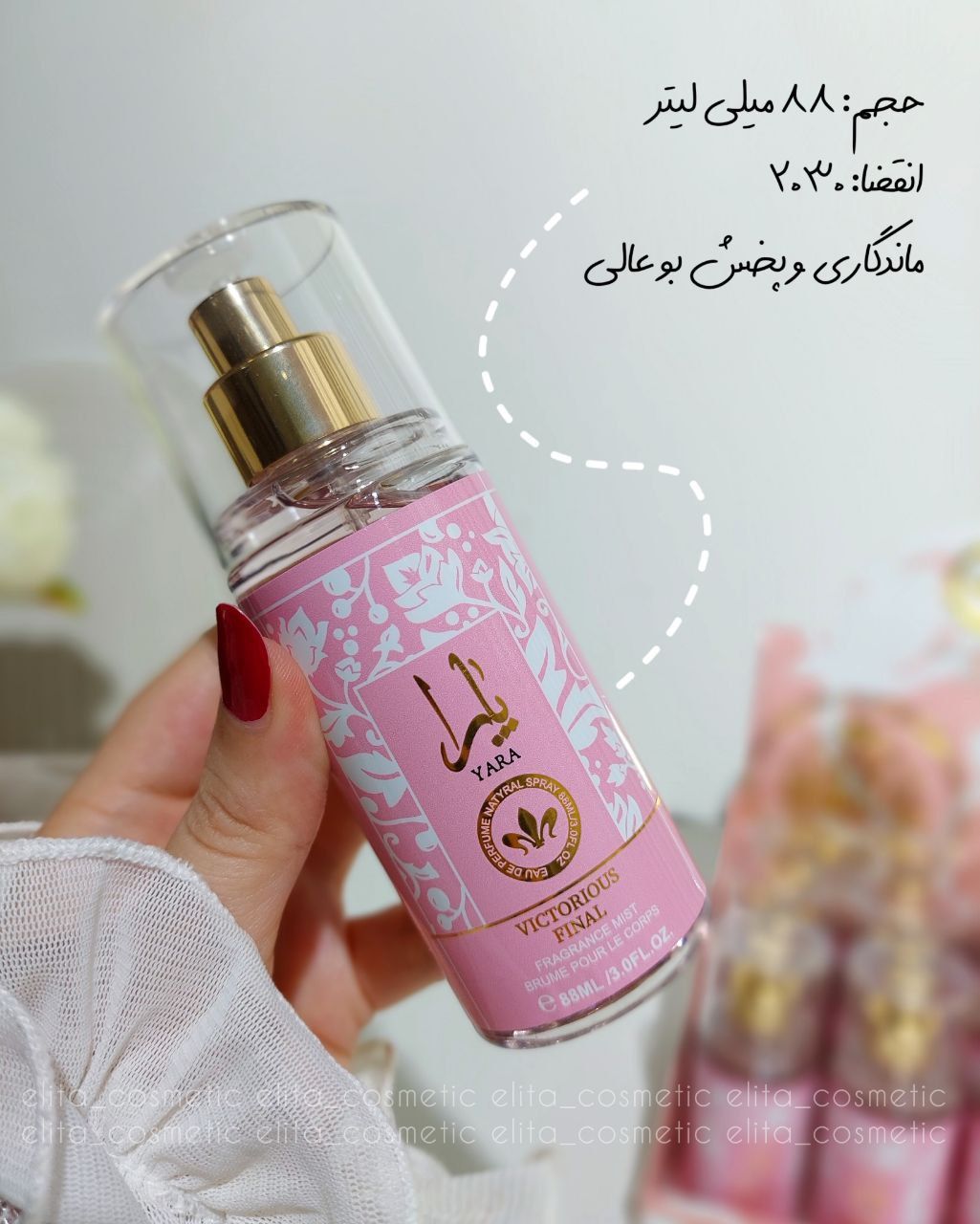 IMG_20251104_202420_319